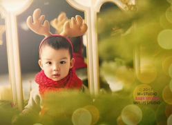 点击看大图 -WPlus明星肖像亲子全家福摄影