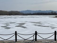 -野鸭湖国家湿地公园