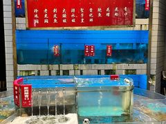 -禄婶鸡煲·打边炉
