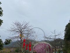 -望天湖