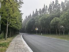 -狼山风景名胜区