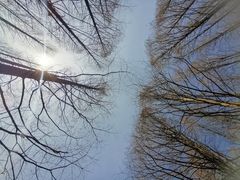 -新虹桥中心花园