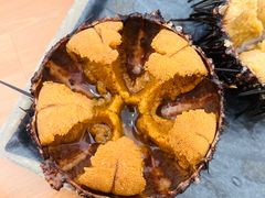 -海胆小馆(东北水饺·春柳店)