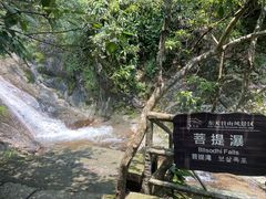 -东天目山风景区