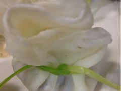黄金海瓜籽-郑厨私房菜