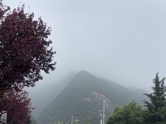 -少华山国家森林公园