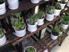 -盒马鲜生(大成店)
