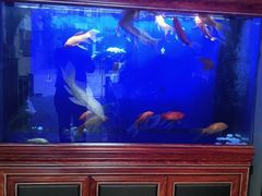 -知足堂养生会所(碑亭巷店)