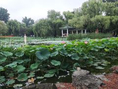 -北陵公园