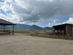 -纳帕海依拉草原