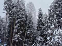 -太阳湾风景区