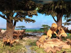 -国家自然博物馆