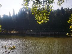 -三水森林公园