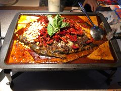 重庆豆花烤鱼-探鱼·鲜青椒爽麻烤鱼(天河优托邦店)