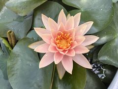 -松浦·观江国际