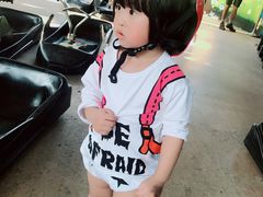 -圣淘沙天际线斜坡滑车