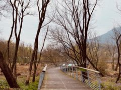 -西湖风景区-江洋畈生态公园