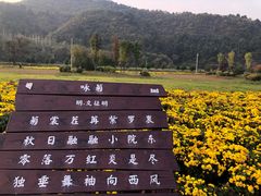 -玉华宫景区