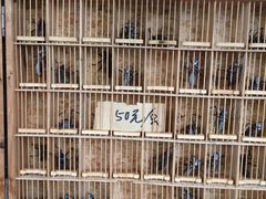 -万商花鸟市场