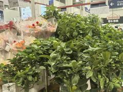 -山姆会员商店(西溪店)