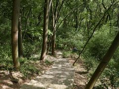 -上海佘山国家森林公园天马山园
