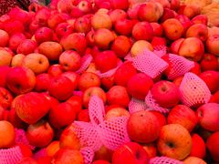 -南城百货(亭江店)