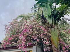 -深圳国际园林花卉博览园