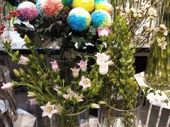 -花未央花店·WEYOUNG