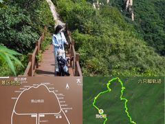 -大岭沟猕猴桃谷风景区