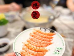 生猛游水虾-禄婶鸡煲·打边炉
