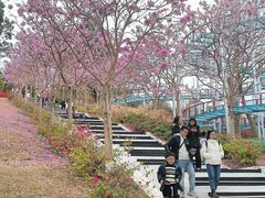 -盈香心动乐园