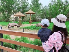 -大连森林动物园