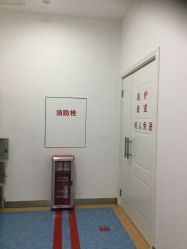 -碧莲盛·不剃发植发
