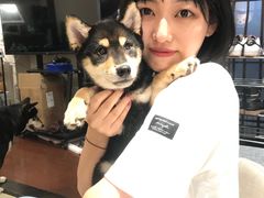 -逗柴咖啡屋·狗咖猫咖宠物桌游