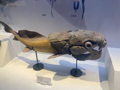 -重庆自然博物馆(新馆)