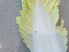 -半天妖烤鱼(薛城万达广场店)