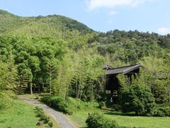 -大唐贡茶院
