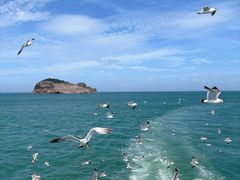 -海驴岛(荣成市)