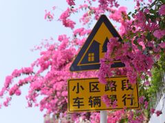 -小南山公园