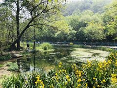 -白水寺森林公园