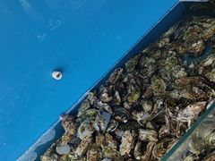 -港畔赶海蒸汽海鲜烧烤自助(仙螺岛店)