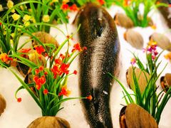 -阳光岛·海鲜盛宴(银泰中心in99店)