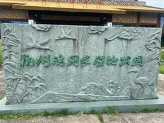 -宁波杭州湾国家湿地公园