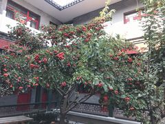 -北京和园国际青年客栈