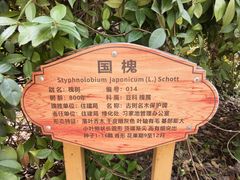 -习家池