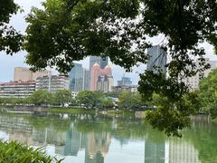 -宝岛公园