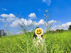 -光明小镇欢乐田园