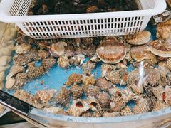 -鑫渔港海鲜本地菜·山海关浑锅(东戴河店)