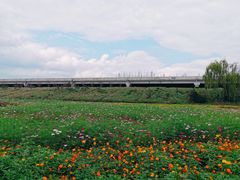 -秀丽东方