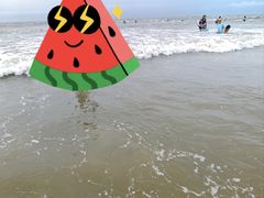 -日照海滨国家森林公园